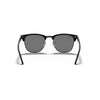 Ray-Ban CLUBMASTER Sunglasses