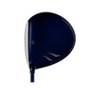 XXIO 13 Driver